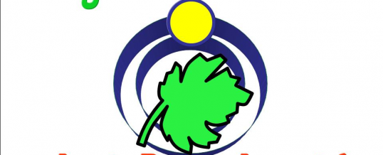 Agente Ambiental